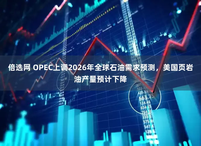 倍选网 OPEC上调2026年全球石油需求预测，美国页岩油产量预计下降